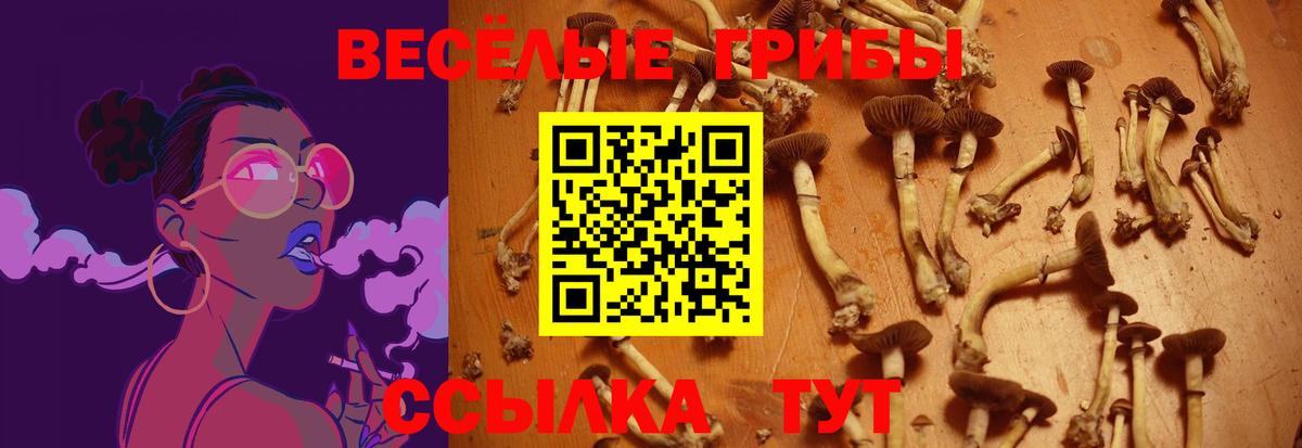 Псилоцибиновые грибы Psilocybine cubensis  Вход с VPN  Саров 